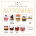 Grand pack d'implantation automne Les Fées Mères, 27 bougies gourmandes artisanales en cire d'origine naturelle, 9 références pour boutique revendeur