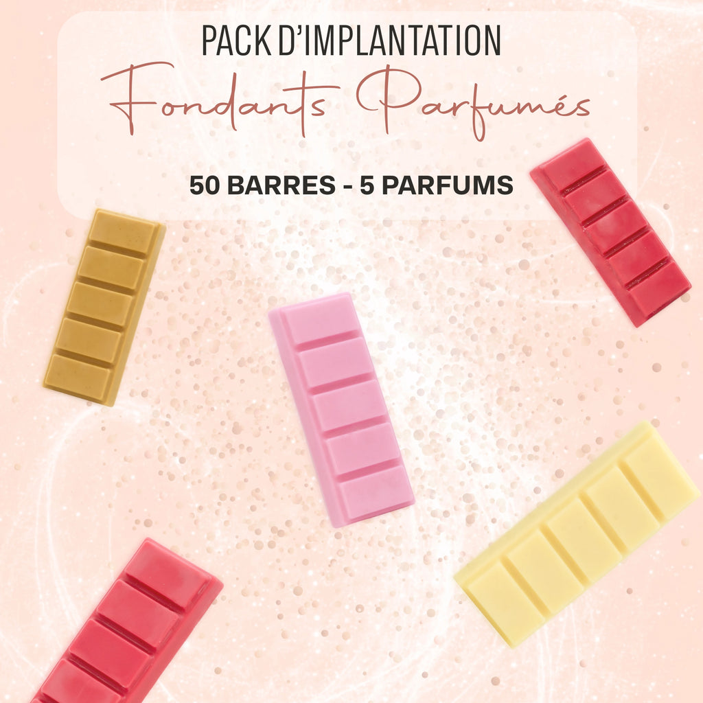 Pack d'implantation fondants parfumés Les Fées Mères, 50 fondants en barre, 5 senteurs best-sellers
