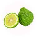 bergamote