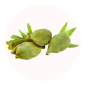 cardamome