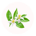 fleur d'oranger