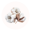 fleur de coton
