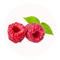 framboise