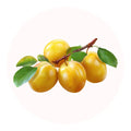 mirabelle
