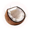 noix de coco