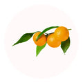 petitgrain