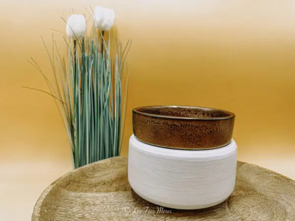 Cette photo représente un diffuseur électrique 2 en 1. Il permet de diffuser le parfum contenu dans les fondants Les Fées Mères, mais aussi de fondre et diffuseur la senteur d'une bougie. Il est blanc et bronze et s'allie parfaitement dans tous type d'intérieur.
