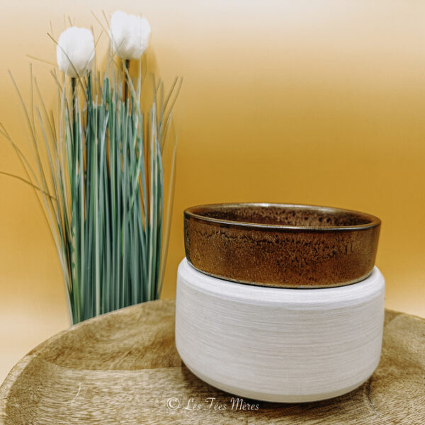 Cette photo représente un diffuseur électrique 2 en 1. Il permet de diffuser le parfum contenu dans les fondants Les Fées Mères, mais aussi de fondre et diffuseur la senteur d'une bougie. Il est blanc et bronze et s'allie parfaitement dans tous type d'intérieur.