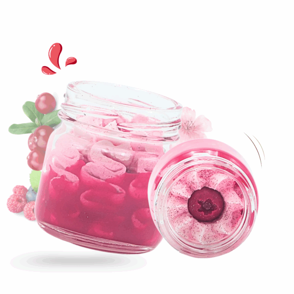 cette photo représente le mini fondant onctueux cranberries