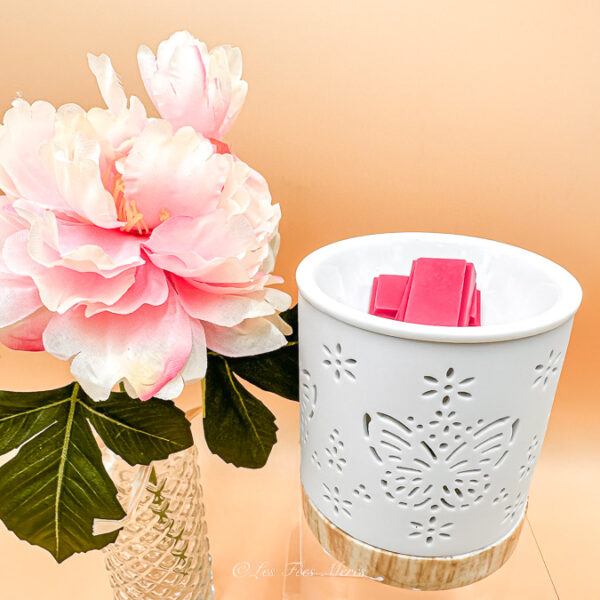 Un brûle parfum papillon en céramique ! C'est allier l'originalité et la féerie. Il est blanc avec un socle marron en céramique. Il est ajouré sur les côtés qui apporta un effet photophore. Photo ouvert en cours d'utilisation pour diffuser des fondants parfumées.