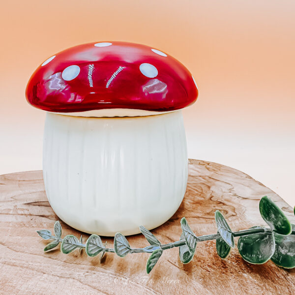 Le brûle parfum champignon en céramique est d'un design épuré et original avec son pied blanc et son chapeau tacheté blanc et rouge.
