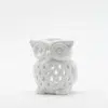 cette photo représente le brule parfum hibou