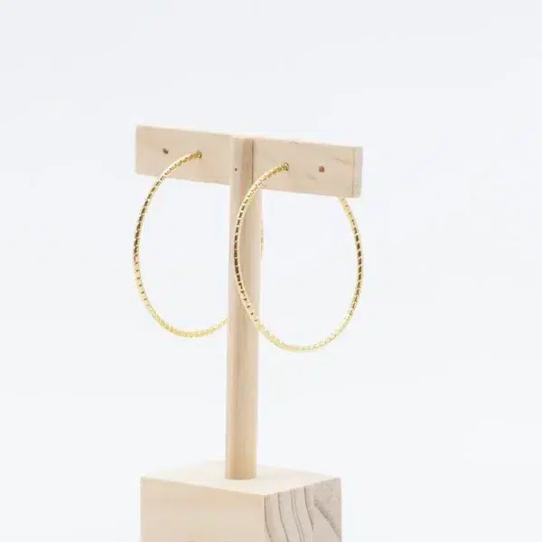 cette photo représente les boucles d'oreilles créoles dorées