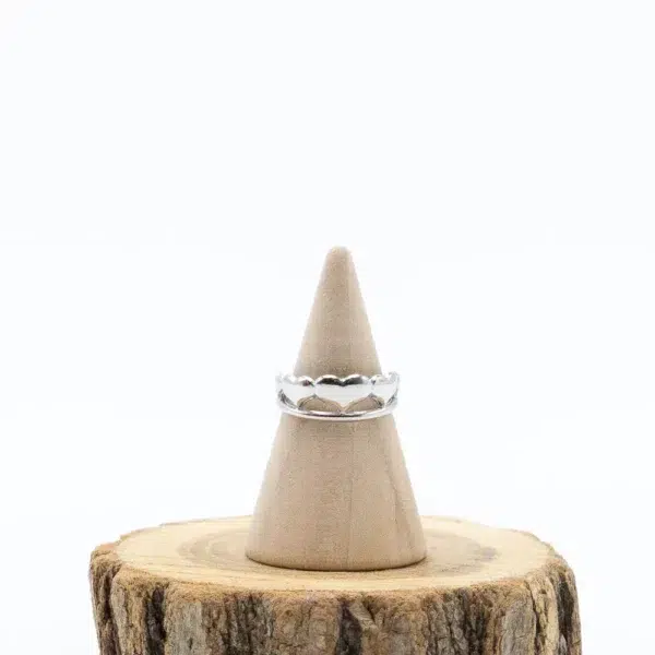 cette photo représente la bague cinq coeur argentée