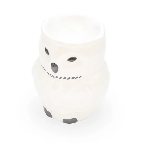 cette photo représente le brule parfum chouette