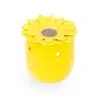 Photo du brule parfum tournesol