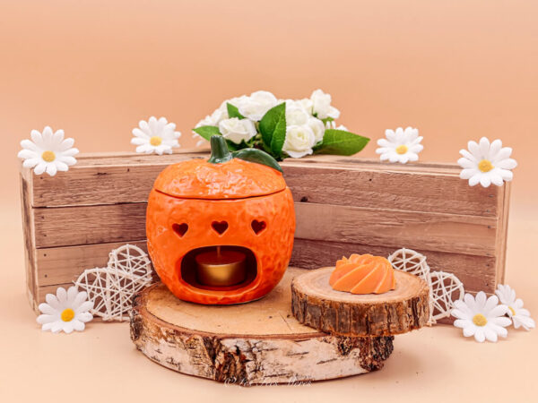 cette photo représente le brûle parfum orange