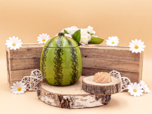 cette photo représente le brûle parfum pastèque