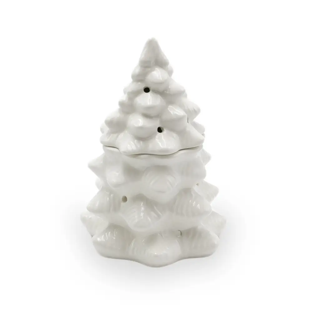 cette photo représente le brule parfum sapin blanc