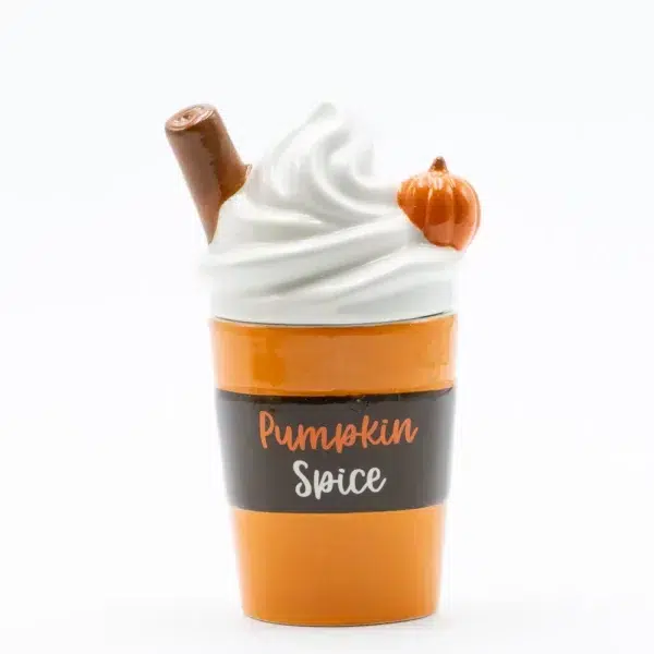 cette photo représente le brule parfum pumpkin spice