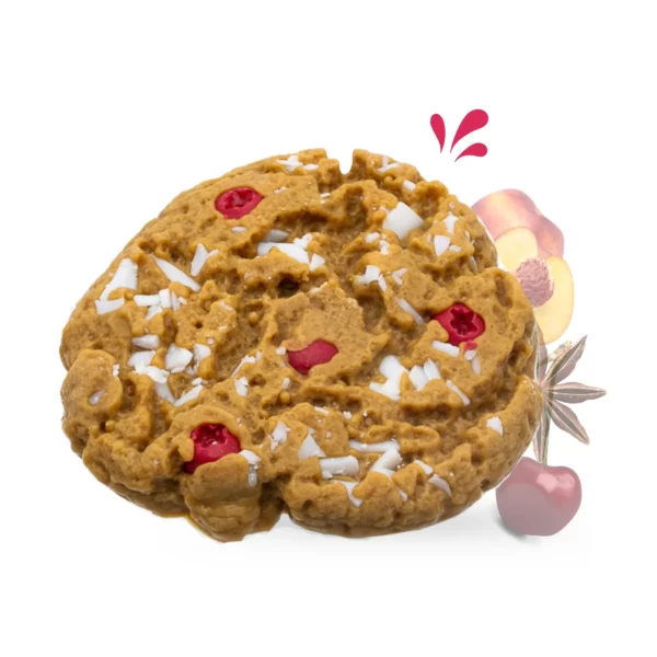 cette photo représente le fondant cookie gouter de noel