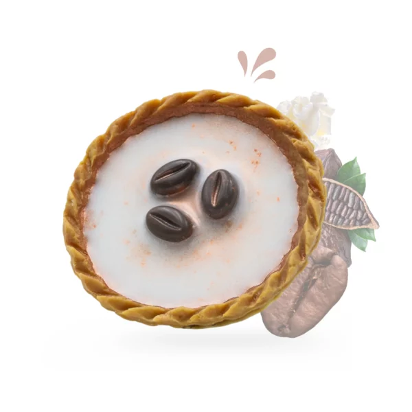 cette photo représente le fondant tartelette mocaccino de noel