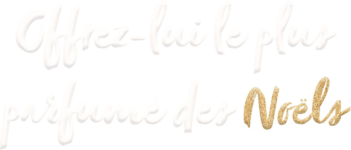Offrez lui le plus parfumé des Noëls