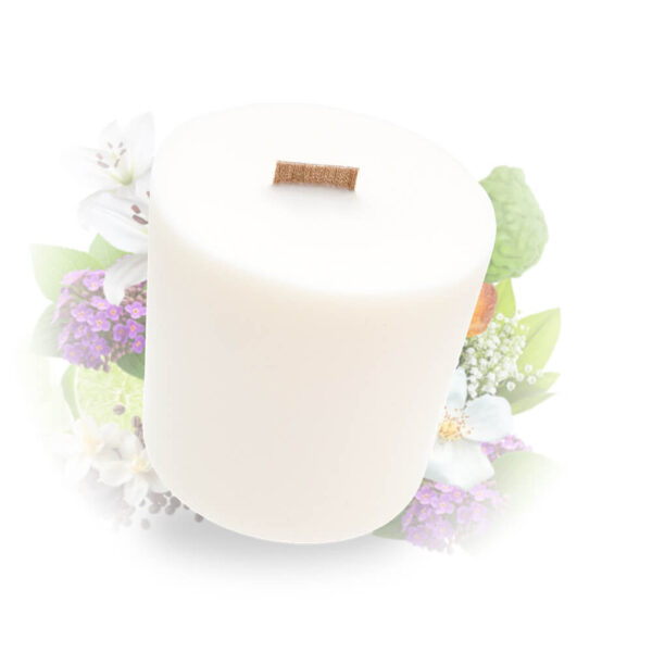 cette photo représente la recharge de la bougie tulipe